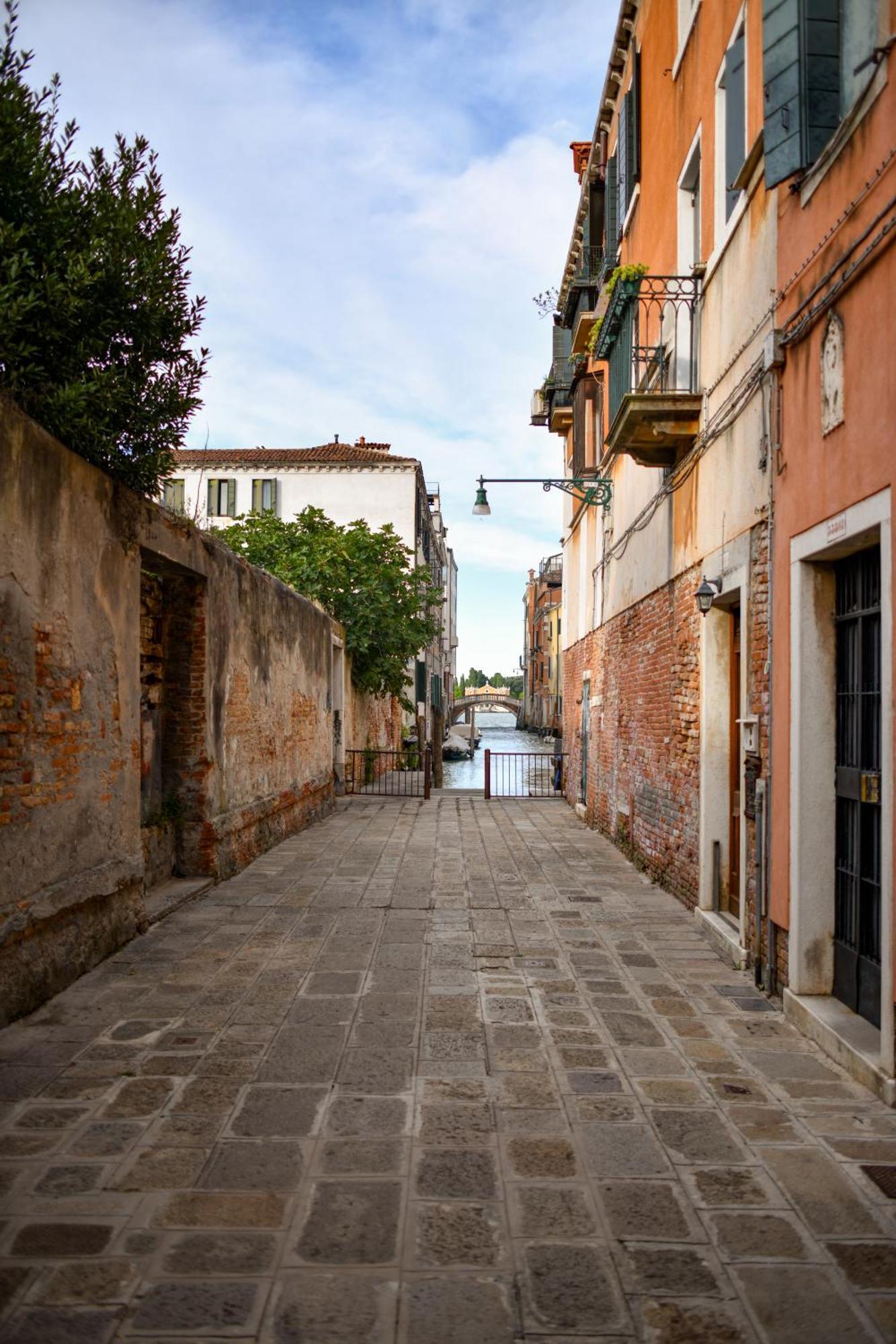 Venice Parsley Luaran gambar